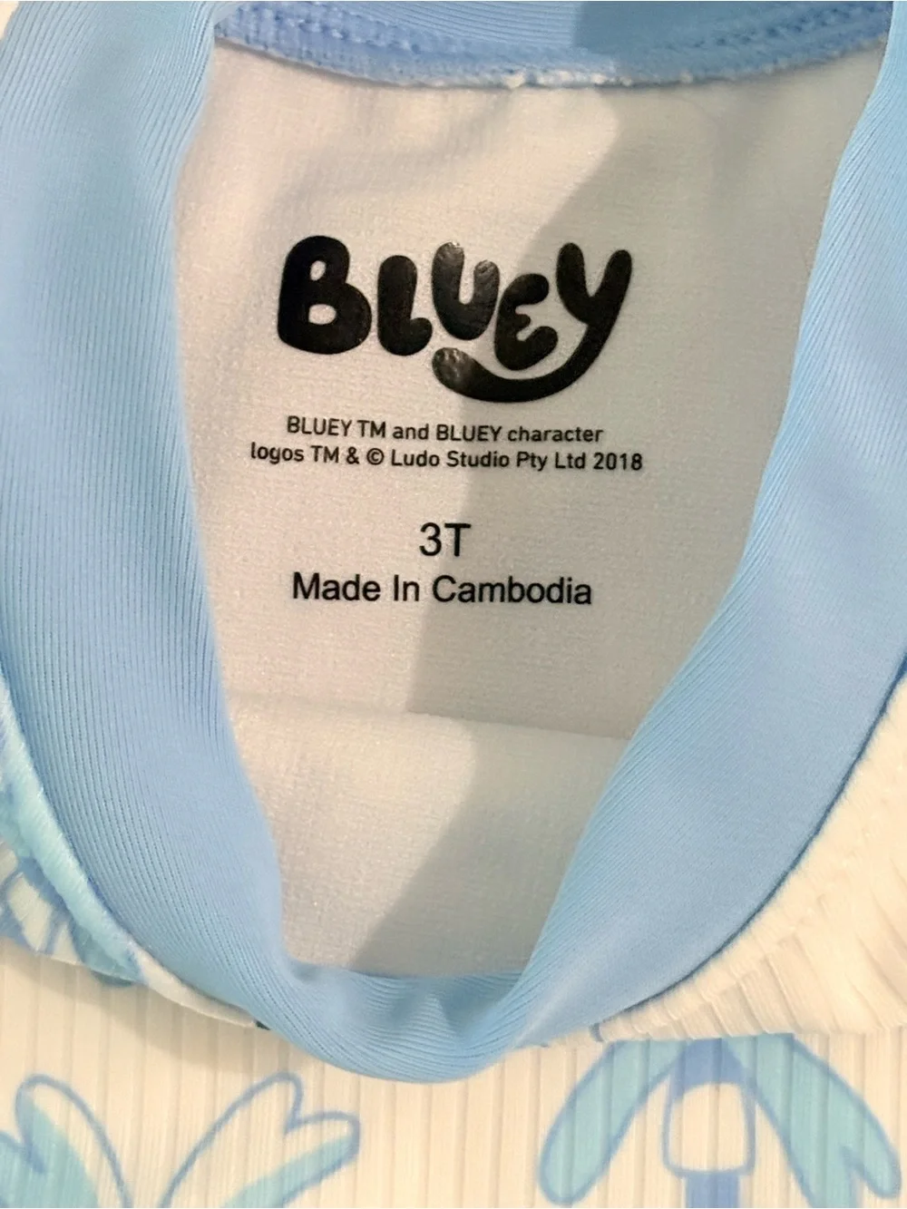🎀 Girls Light Blue Bluey-Print Long Sleeve Rashguard Two-Piece Swim Set